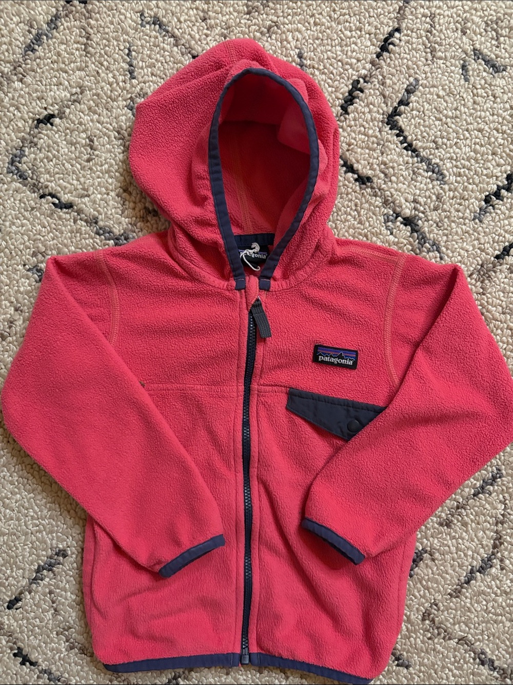 Patagonia Kids  Fleece Jacket (3T) EUC
